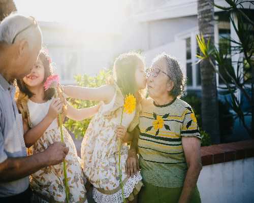 2026年试管婴儿性别选择概率解析与详细成功率