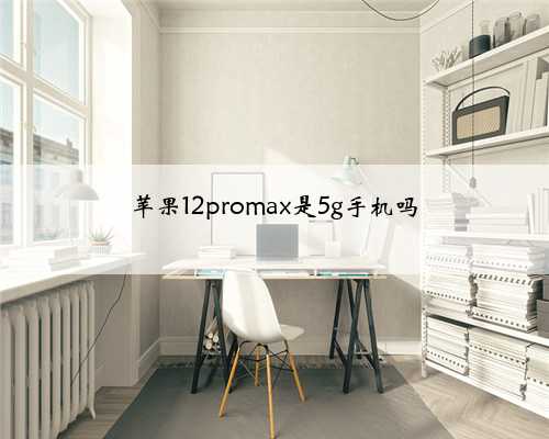 苹果12promax是5g手机吗